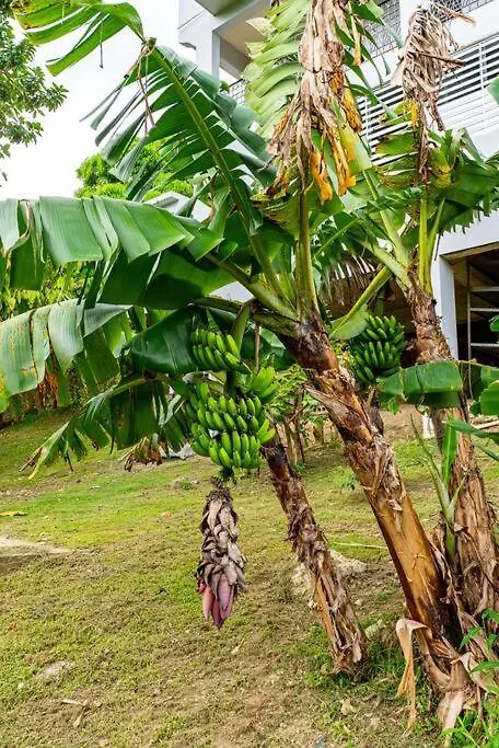 Enjoy Rare Huge Pool 4Br Perfect For Families! Villa Aguada Vakantiehuis